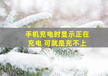 手机充电时显示正在充电 可就是充不上